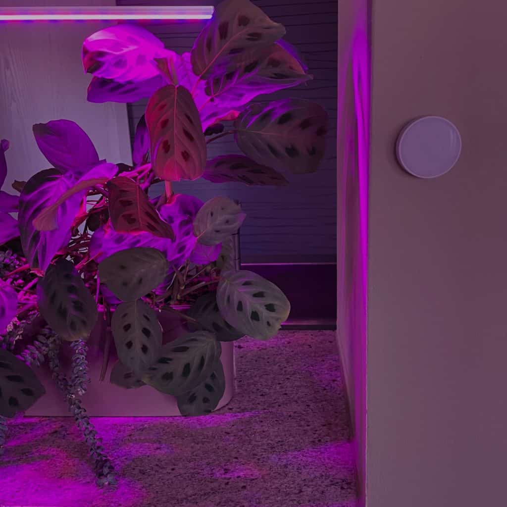 Control plant light using a brightness sensor